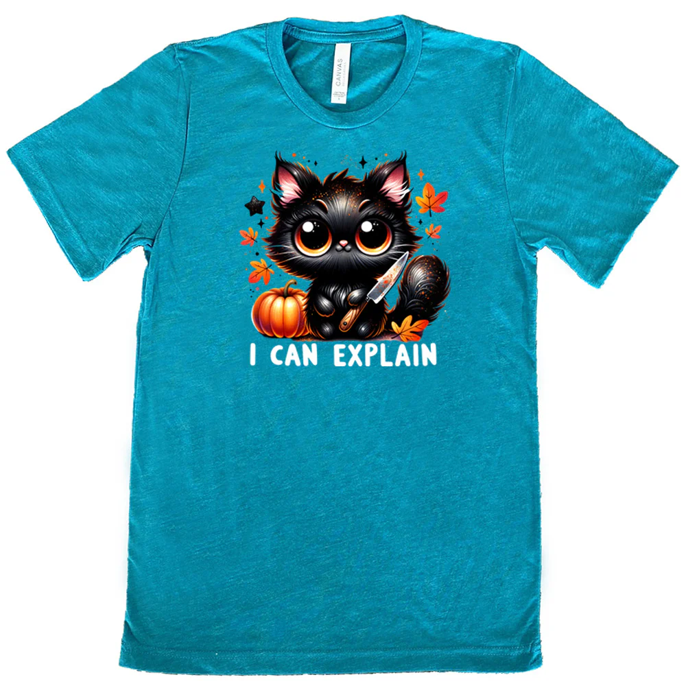 I Can Explain Shirt Unisex - Image 5