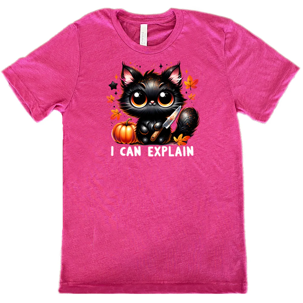 I Can Explain Shirt Unisex - Image 6