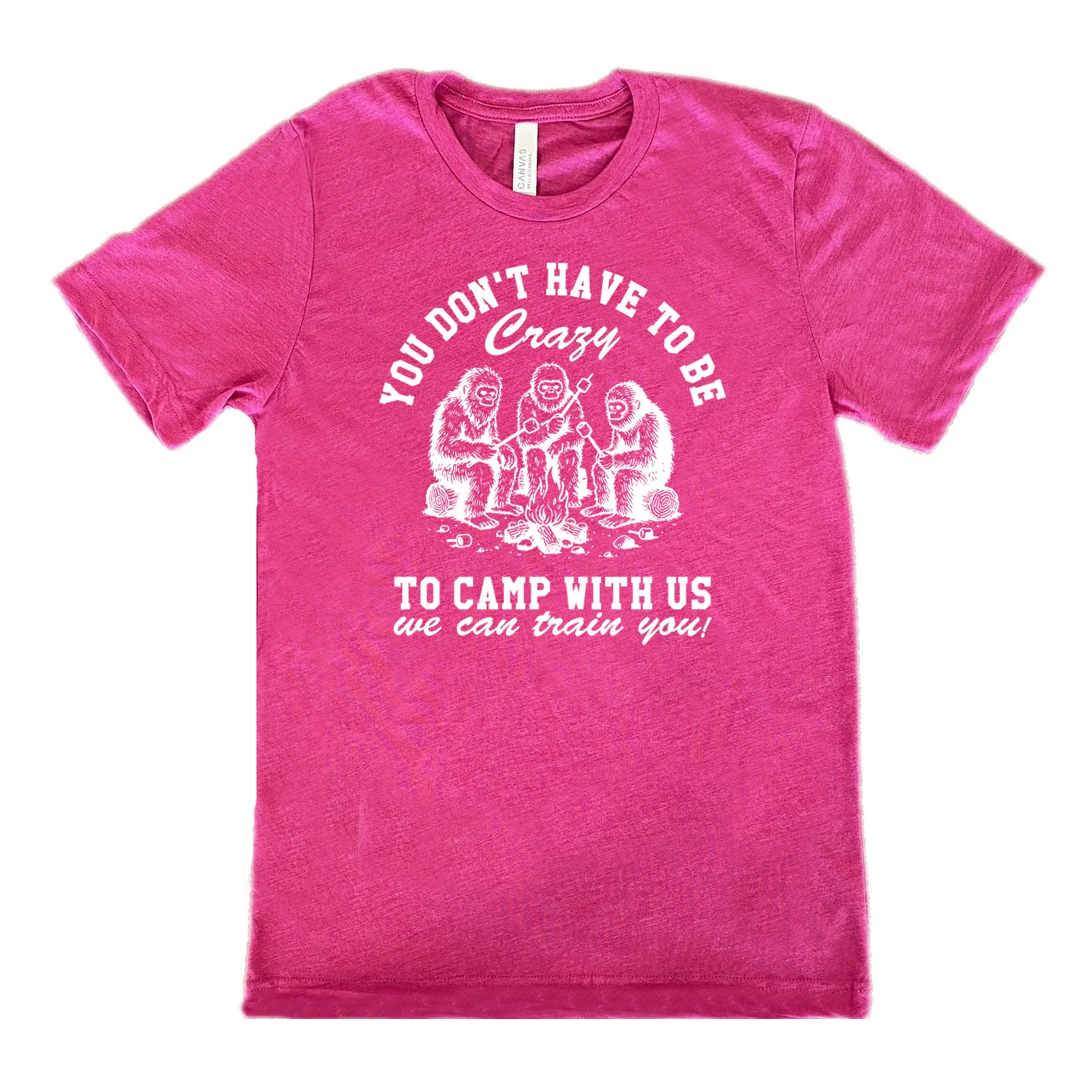 You Don't Have To Be Crazy To Camp With Us We Can Train You! Shirt Unisex - Image 9