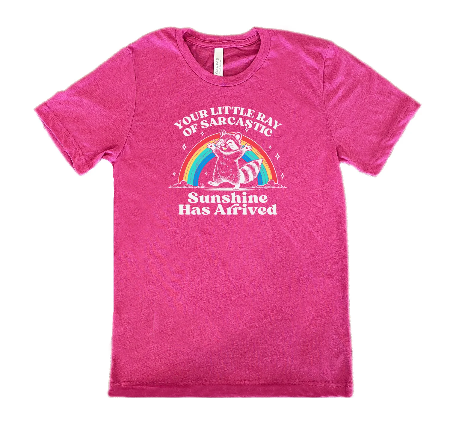 Your Little Ray of Sarcastic Sunshine Has Arrived Shirt Unisex - Image 11